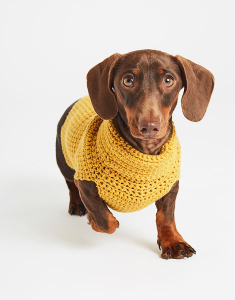 Diamond Dog Coat Mustard Sally